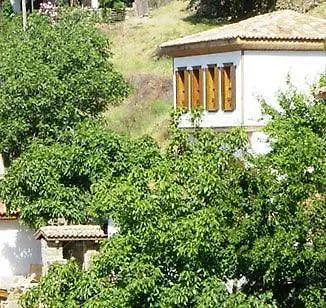 Hotel Terrace - Fig, Olive And Grapevine 3*