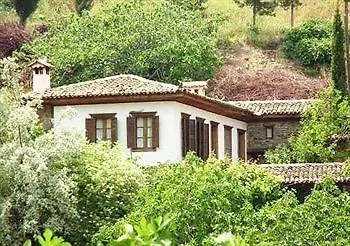 Terrace - Fig, Olive And Grapevine