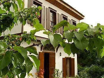 Terrace - Fig, Olive And Grapevine