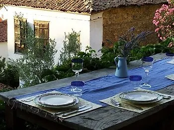 Hotel Terrace - Fig, Olive And Grapevine