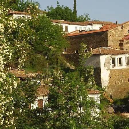 Terrace - Fig, Olive And Grapevine Hotel