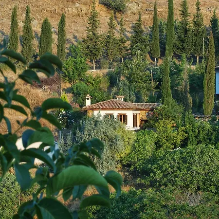 Terrace - Fig, Olive And Grapevine Sirince