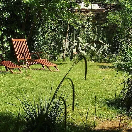 Terrace - Fig, Olive And Grapevine Hotel 3*