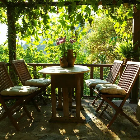 Szálloda Terrace - Fig, Olive And Grapevine