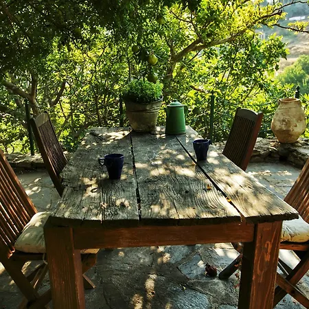 Terrace - Fig, Olive And Grapevine 3* Sirince