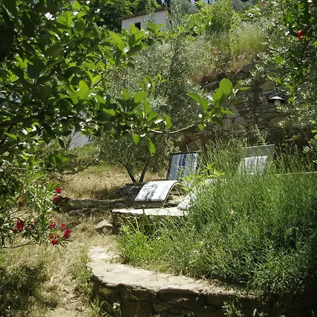 Terrace - Fig, Olive And Grapevine Hotel Sirince
